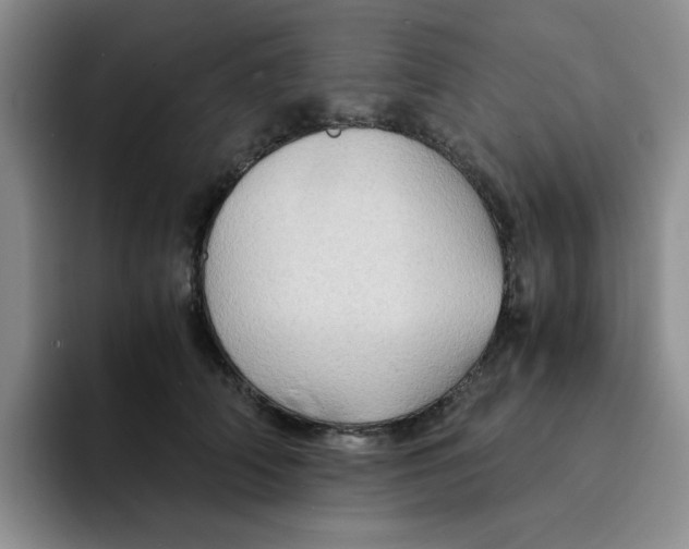 X0000091650706200709201126