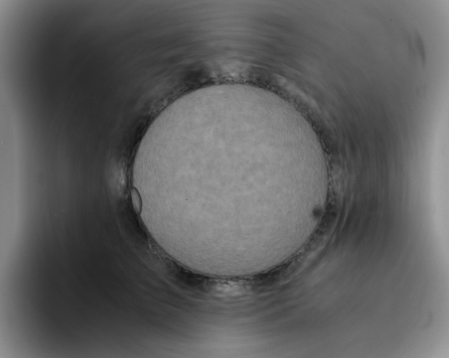 X0000091650709200709201126