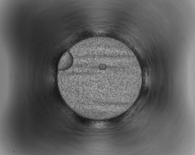 X0000091650710200709201126