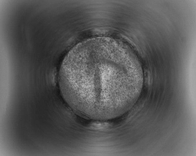 X0000091650712200709201126