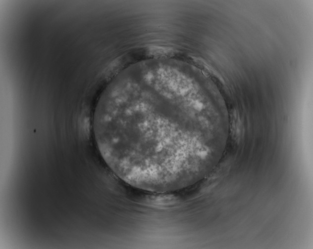 X0000091650716200709201126