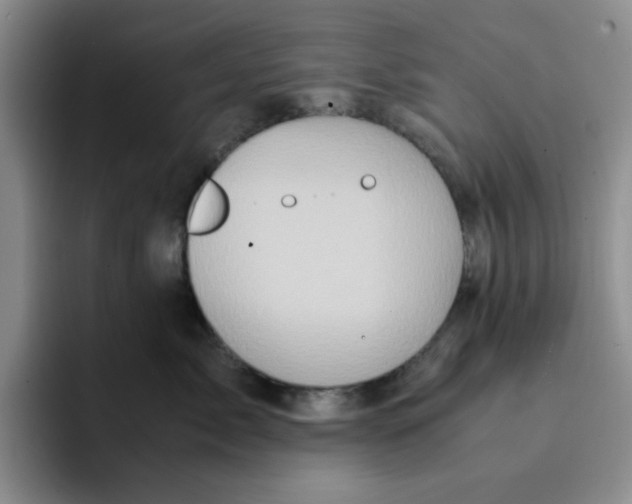 X0000091650717200709201126