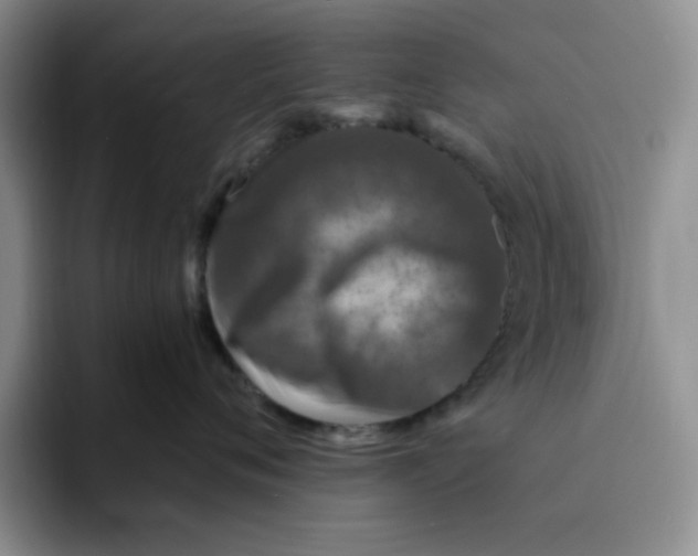 X0000091650720200709201126