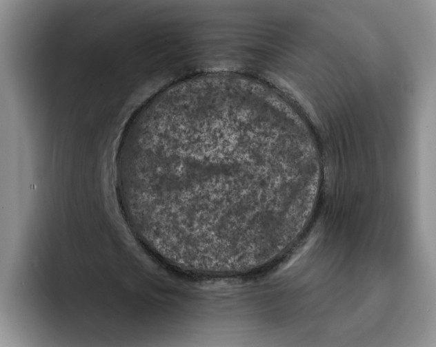 X0000091650721200709201125