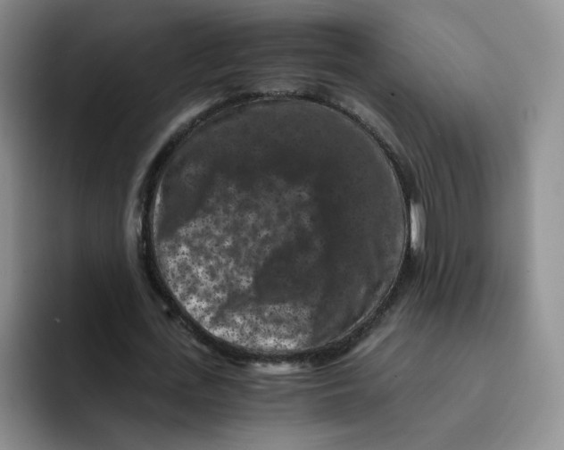 X0000091650723200709201125