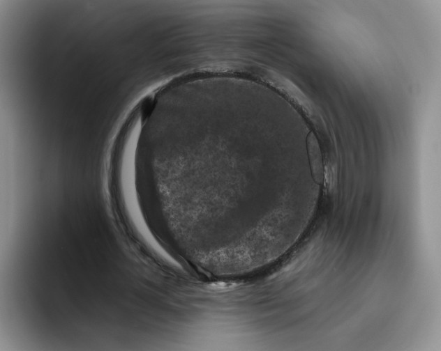 X0000091650724200709201125