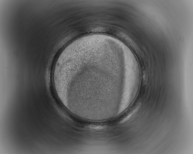 X0000091650725200709201125