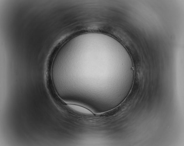 X0000091650728200709201125