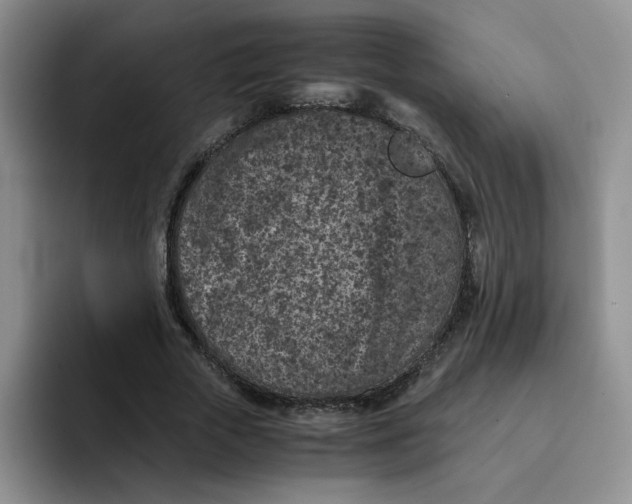 X0000091650729200709201125