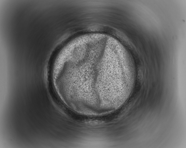 X0000091650730200709201125