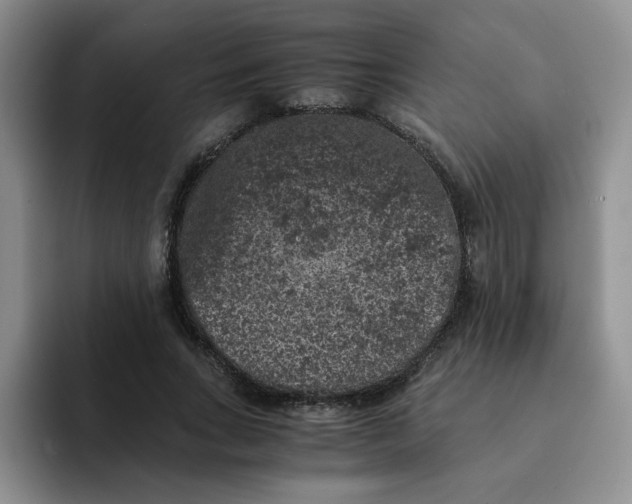 X0000091650735200709201126