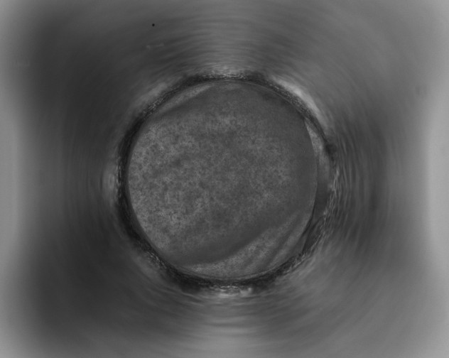 X0000091650736200709201126