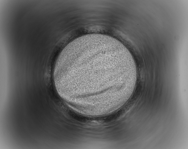 X0000091650737200709201126