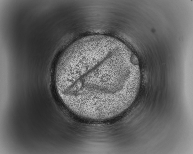 X0000091650738200709201126