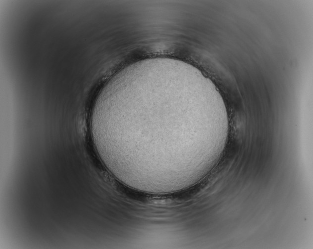 X0000091650746200709201126