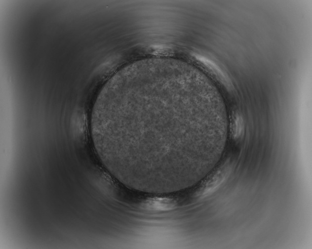 X0000091650748200709201126