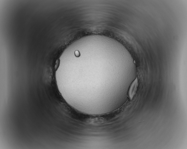 X0000091650752200709201126