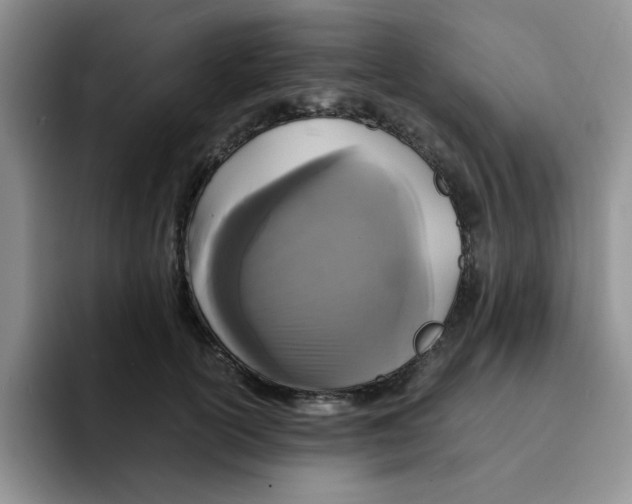 X0000091650754200709201126