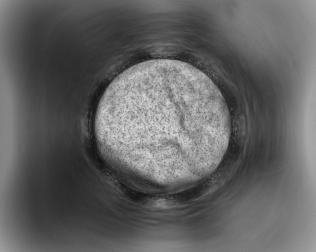 X0000091650755200709201126