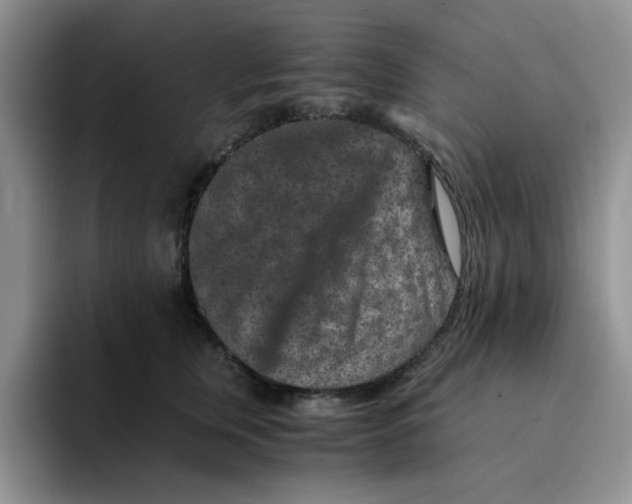 X0000091650759200709201126