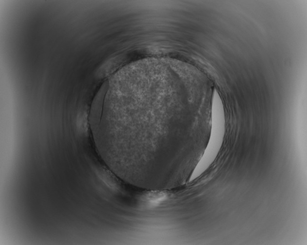 X0000091650762200709201126