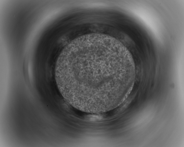 X0000091650765200709201126