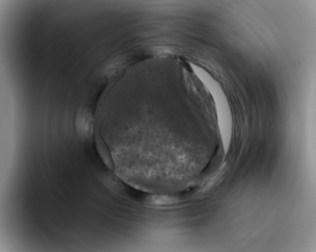 X0000091650766200709201126