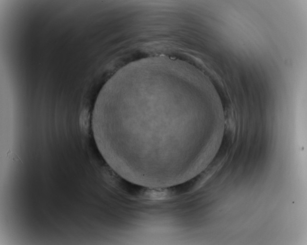 X0000091650767200709201126