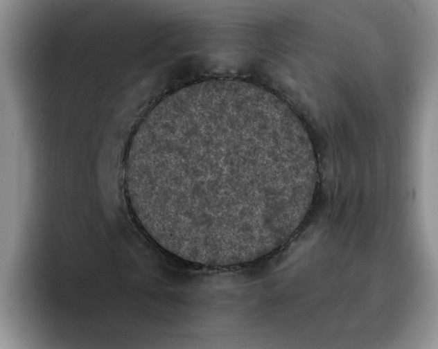 X0000091650769200709201125