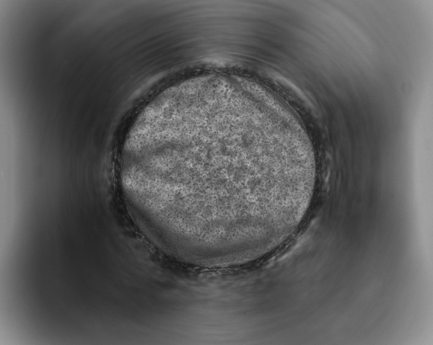 X0000091650776200709201125