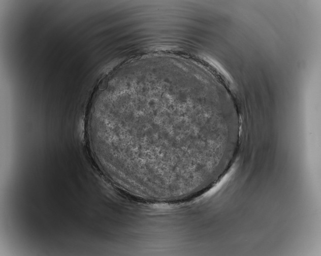 X0000091650777200709201125