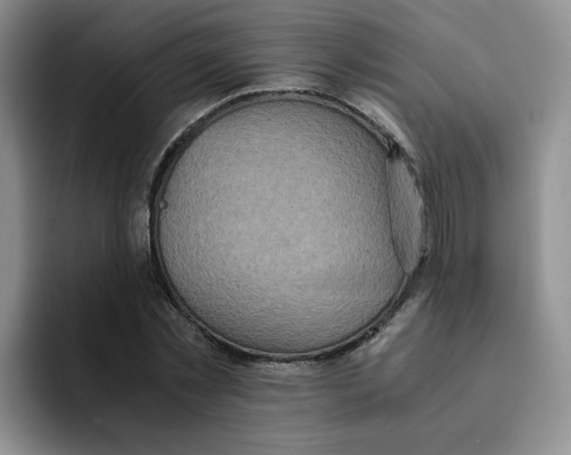 X0000091650781200709201125