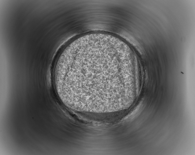 X0000091650782200709201125