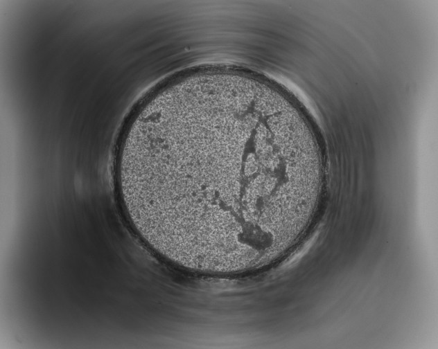 X0000091650783200709201125