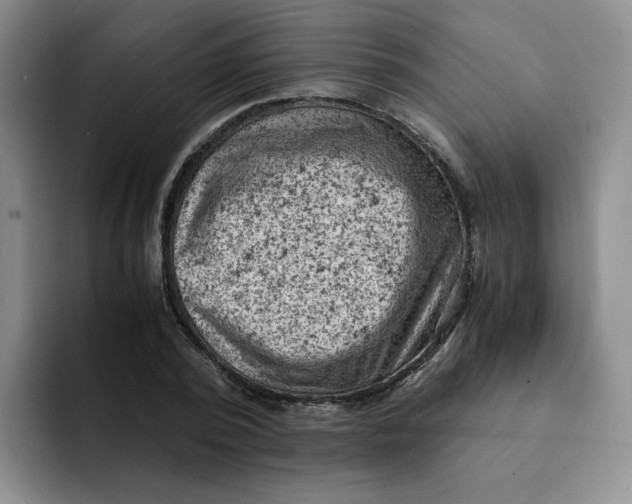 X0000091650784200709201125