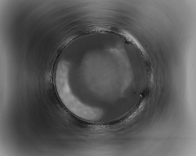 X0000091650785200709201125