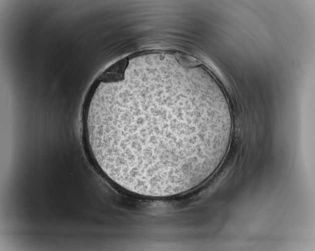 X0000091650787200709201125