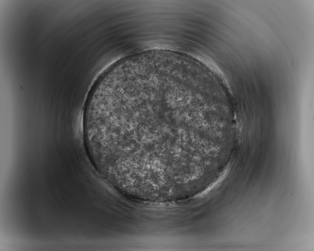 X0000091650790200709201125