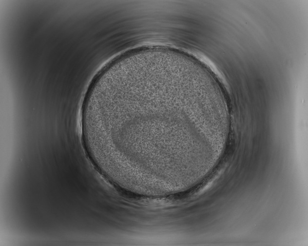 X0000091650791200709201125