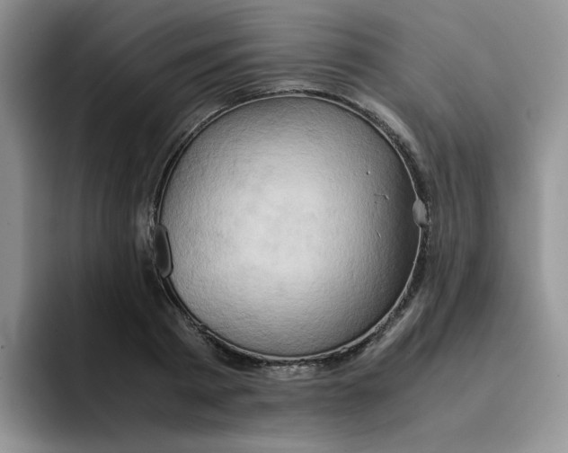 X0000091650793200709201125