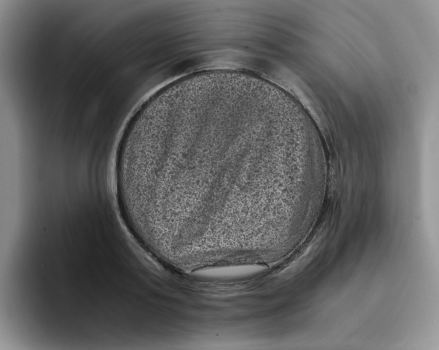 X0000091650795200709201125