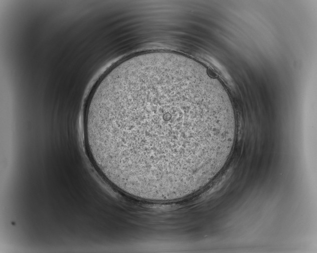 X0000091650796200709201125