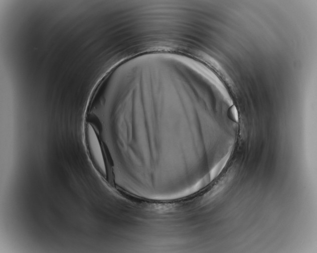 X0000091650802200709201125