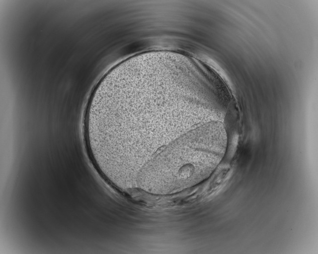 X0000091650803200709201125