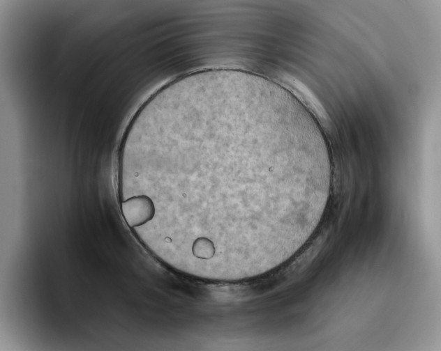 X0000091650804200709201125