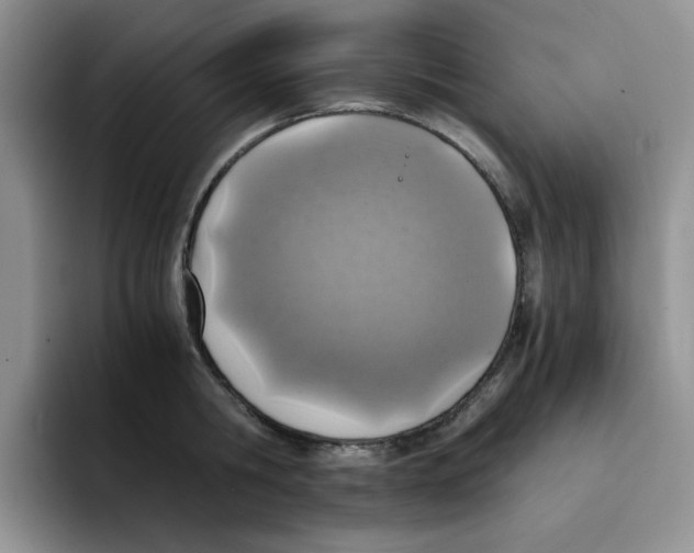 X0000091650806200709201125