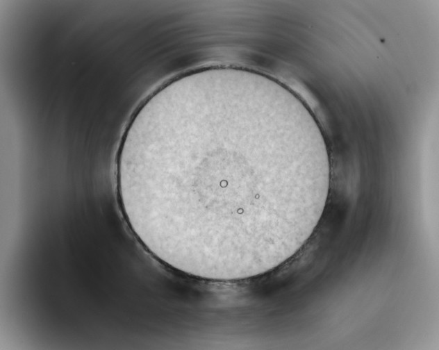 X0000091650807200709201125