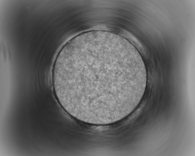 X0000091650808200709201125