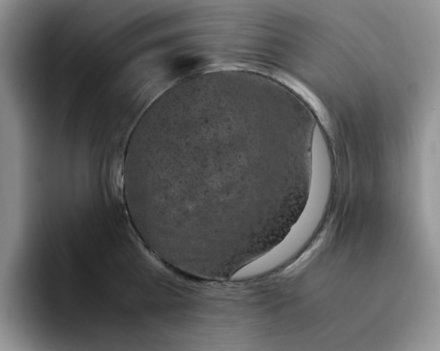 X0000091650809200709201125