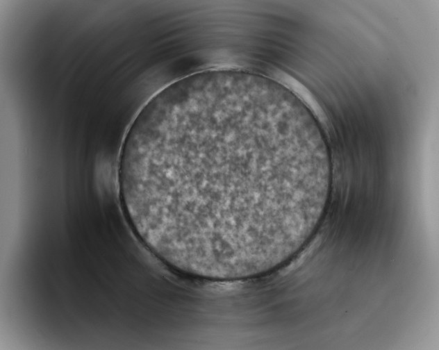 X0000091650810200709201125